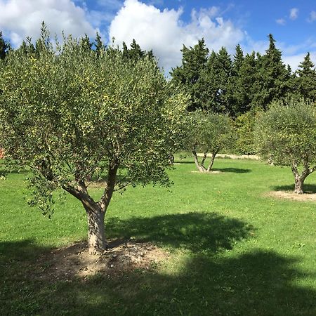 Le Mas Terre Des Anges Sarrians Exterior photo