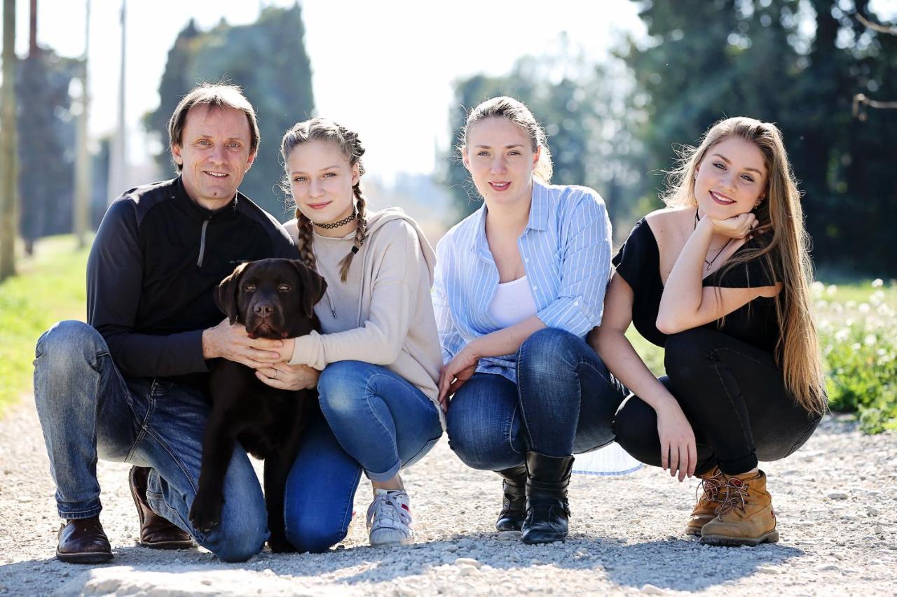 Le Mas Terre Des Anges Sarrians Exterior photo