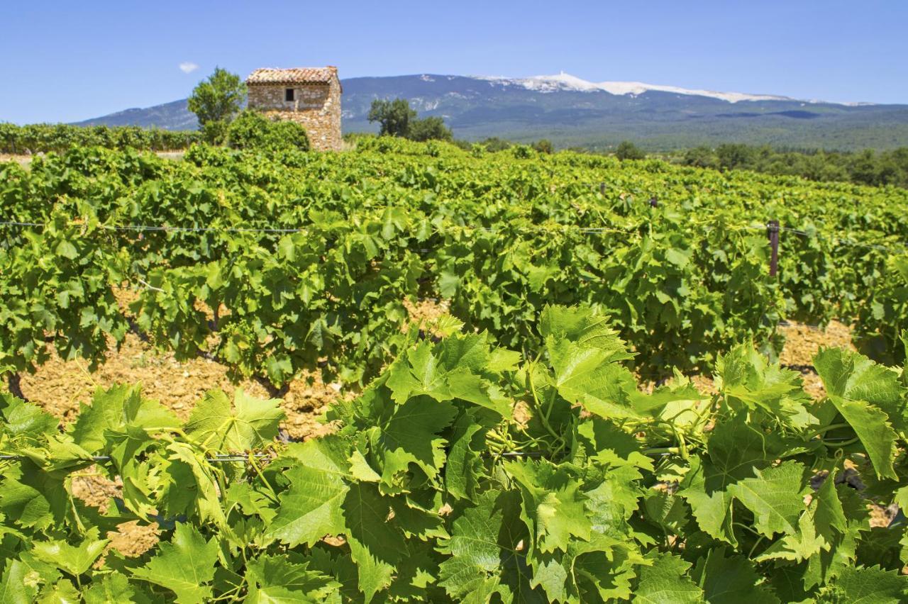 Le Mas Terre Des Anges Sarrians Exterior photo